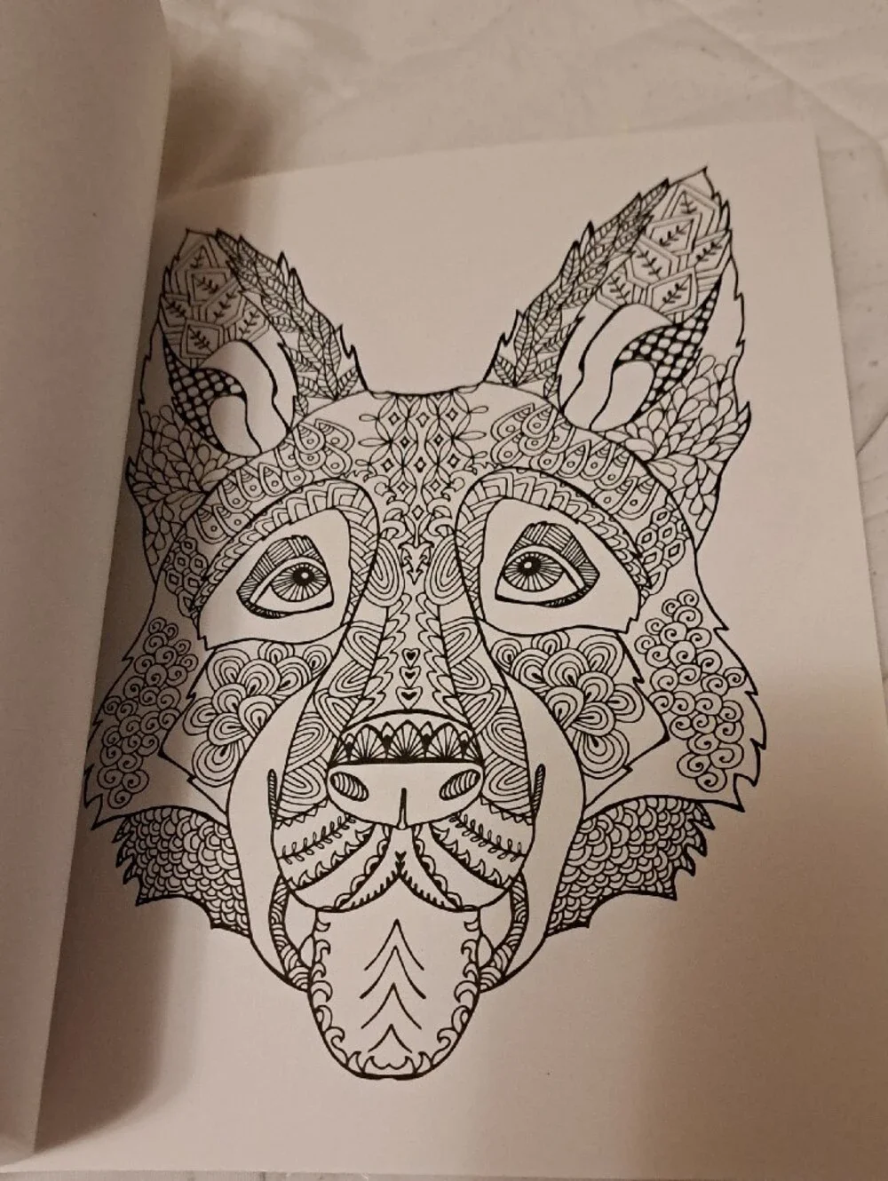Colorama Delightful Dogs Coloring Book by Bullhead – Multicolor